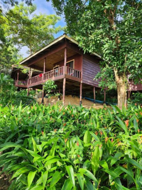 Sweet Jungle Bungalows